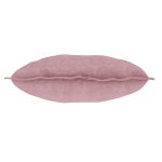 belmondo kis 46x46o 400 f gross