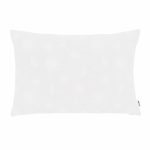 fresh kis 60x40v 001 f gross