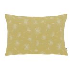 fresh kis 60x40v 166 f gross