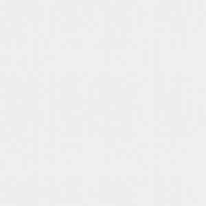 linessa 001 60x60 gross